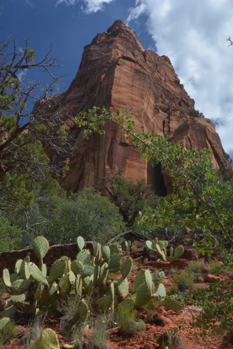 In the Kayenta-Emerald Pools Trail